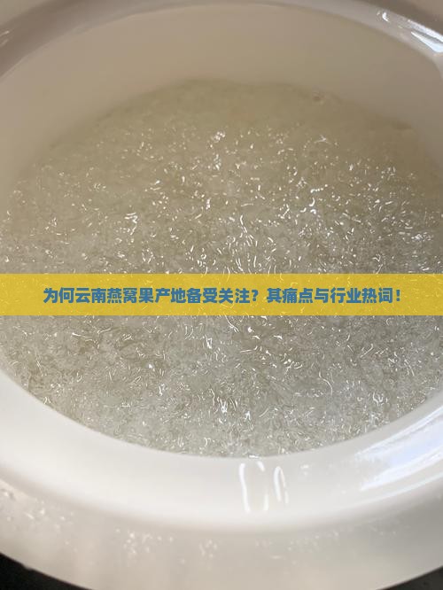 为何云南燕窝果产地备受关注？其痛点与行业热词！