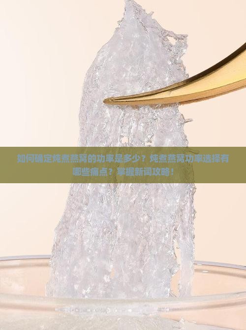 如何确定炖煮燕窝的功率是多少？炖煮燕窝功率选择有哪些痛点？掌握新词攻略！