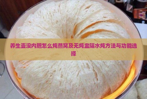 养生壶没内胆怎么炖燕窝及无炖盅隔水炖方法与功能选择
