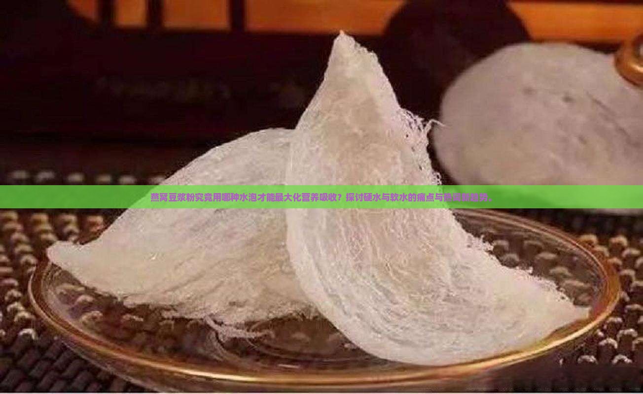 燕窝豆浆粉究竟用哪种水泡才能最大化营养吸收？探讨硬水与软水的痛点与热词新趋势。