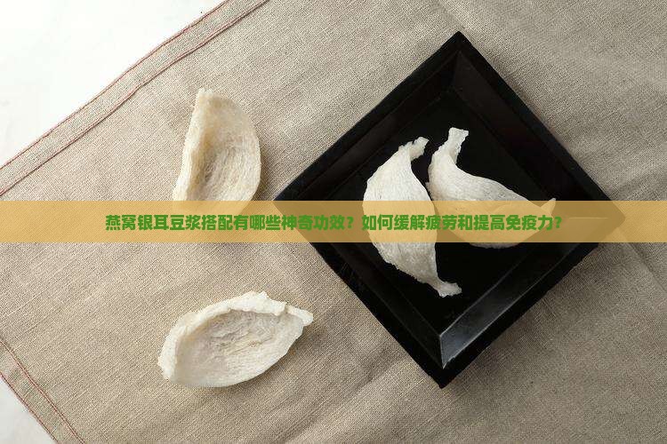 燕窝银耳豆浆搭配有哪些神奇功效？如何缓解疲劳和提高免疫力？