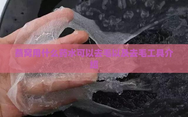 燕窝用什么药水可以去毛以及去毛工具介绍