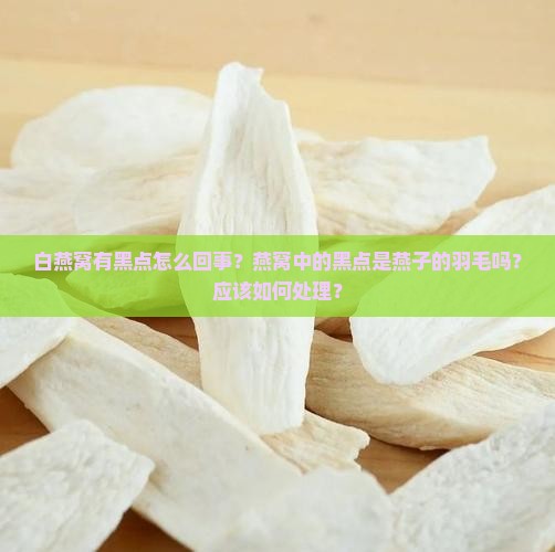 白燕窝有黑点怎么回事？燕窝中的黑点是燕子的羽毛吗？应该如何处理？