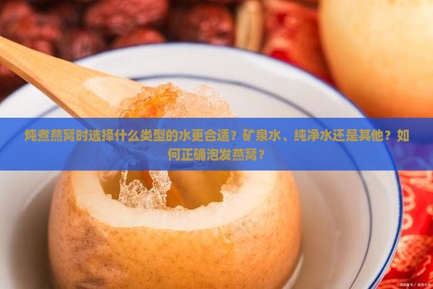 炖煮燕窝时选择什么类型的水更合适？矿泉水、纯净水还是其他？如何正确泡发燕窝？