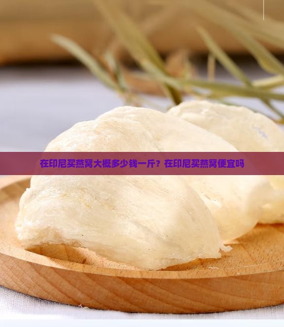 在印尼买燕窝大概多少钱一斤？在印尼买燕窝便宜吗