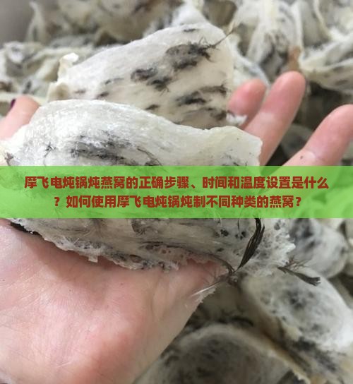 摩飞电炖锅炖燕窝的正确步骤、时间和温度设置是什么？如何使用摩飞电炖锅炖制不同种类的燕窝？