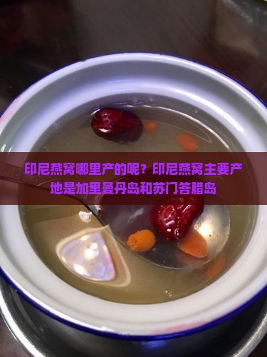 印尼燕窝哪里产的呢？印尼燕窝主要产地是加里曼丹岛和苏门答腊岛
