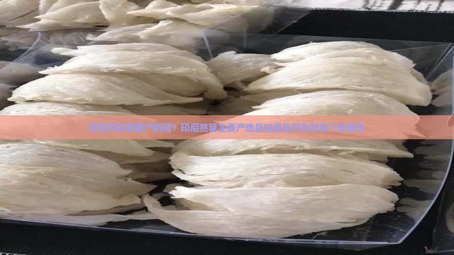 印尼燕窝哪里产的呢？印尼燕窝主要产地是加里曼丹岛和苏门答腊岛