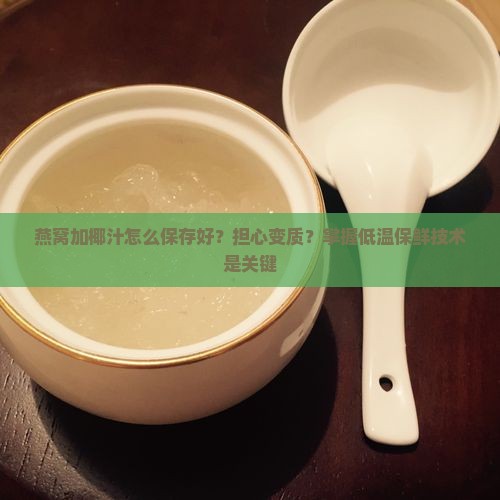燕窝加椰汁怎么保存好？担心变质？掌握低温保鲜技术是关键