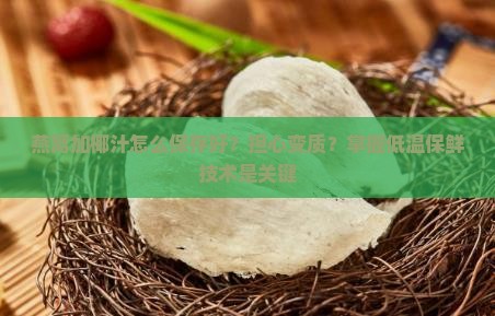 燕窝加椰汁怎么保存好？担心变质？掌握低温保鲜技术是关键