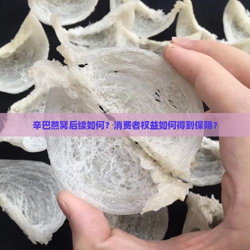 辛巴燕窝后续如何？消费者权益如何得到保障？