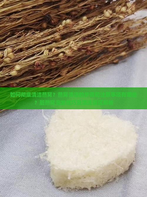 如何彻底清洁燕窝？燕窝清洁的步骤和注意事项有哪些？脏燕窝泡发技巧及清洗误区解析