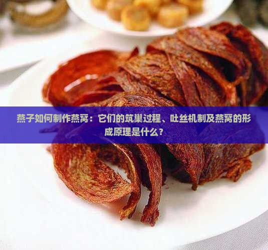 燕子如何制作燕窝：它们的筑巢过程、吐丝机制及燕窝的形成原理是什么？