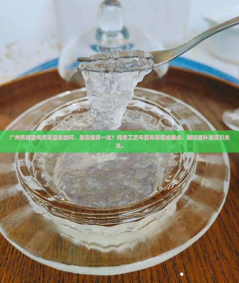 广州燕膳堂炖燕窝品质如何，是否值得一试？炖煮工艺与营养保留成痛点，新词滋补潮流引关注。