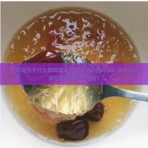 燕窝是燕子什么做成的？燕窝是燕子的窝吗？是什么样的？由哪种燕子筑造？