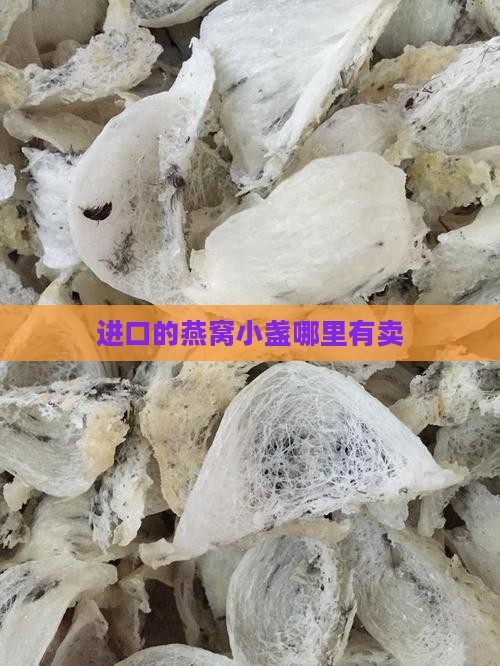 进口的燕窝小盏哪里有卖