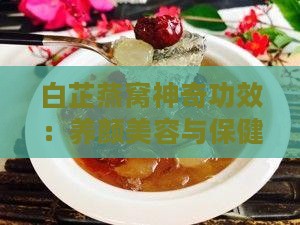 白芷燕窝神奇功效：养颜美容与保健双重疗效