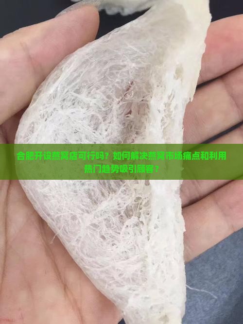 合肥开设燕窝店可行吗？如何解决燕窝市场痛点和利用热门趋势吸引顾客？