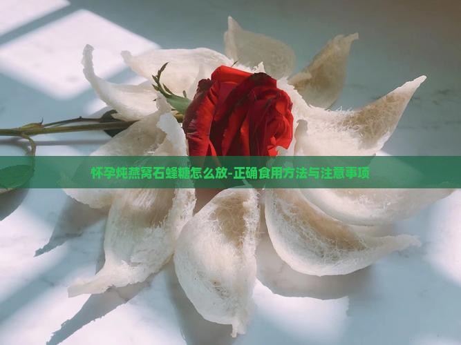怀孕炖燕窝石蜂糖怎么放-正确食用方法与注意事项