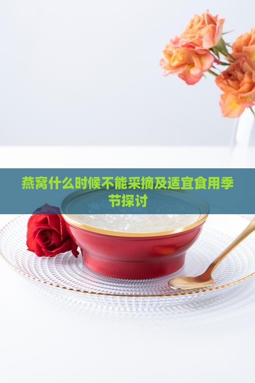 燕窝什么时候不能采摘及适宜食用季节探讨