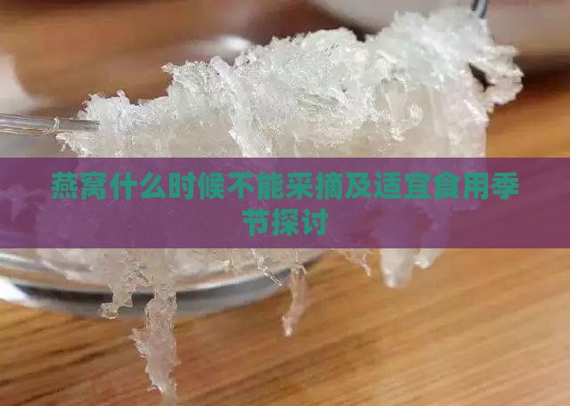 燕窝什么时候不能采摘及适宜食用季节探讨
