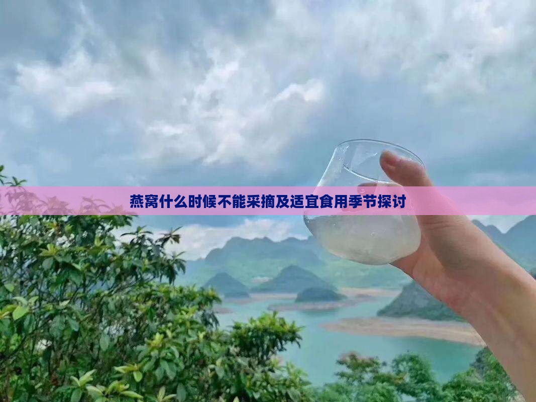 燕窝什么时候不能采摘及适宜食用季节探讨