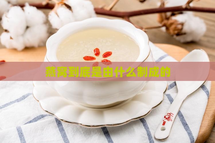 燕窝到底是由什么制成的