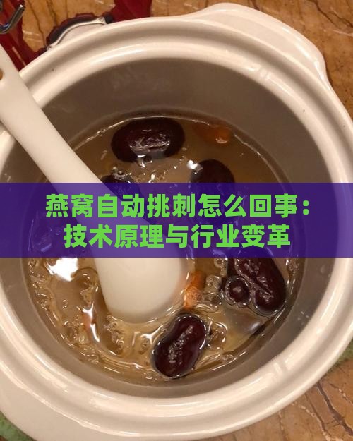 燕窝自动挑刺怎么回事：技术原理与行业变革