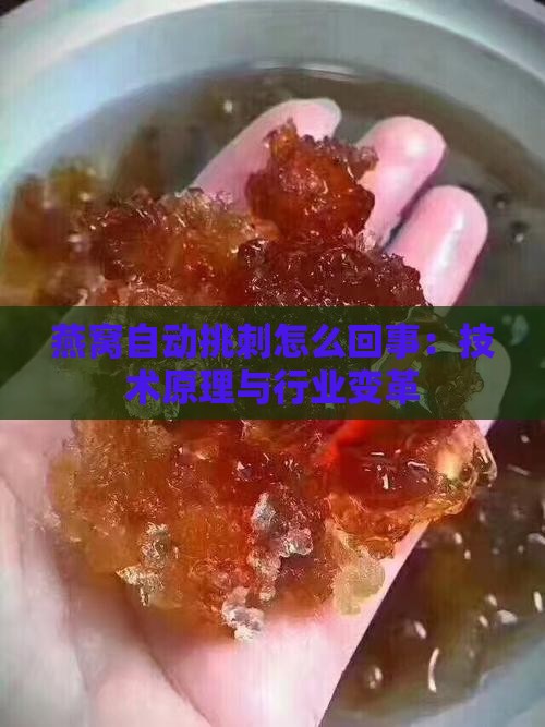 燕窝自动挑刺怎么回事：技术原理与行业变革