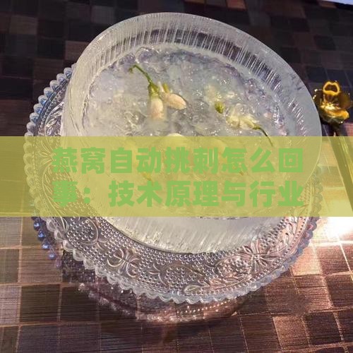 燕窝自动挑刺怎么回事：技术原理与行业变革