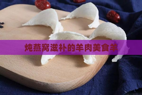 炖燕窝滋补的羊肉美食羊