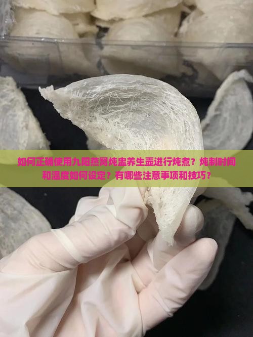 如何正确使用九阳燕窝炖盅养生壶进行炖煮？炖制时间和温度如何设定？有哪些注意事项和技巧？