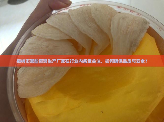 樟树市哪些燕窝生产厂家在行业内备受关注，如何确保品质与安全？