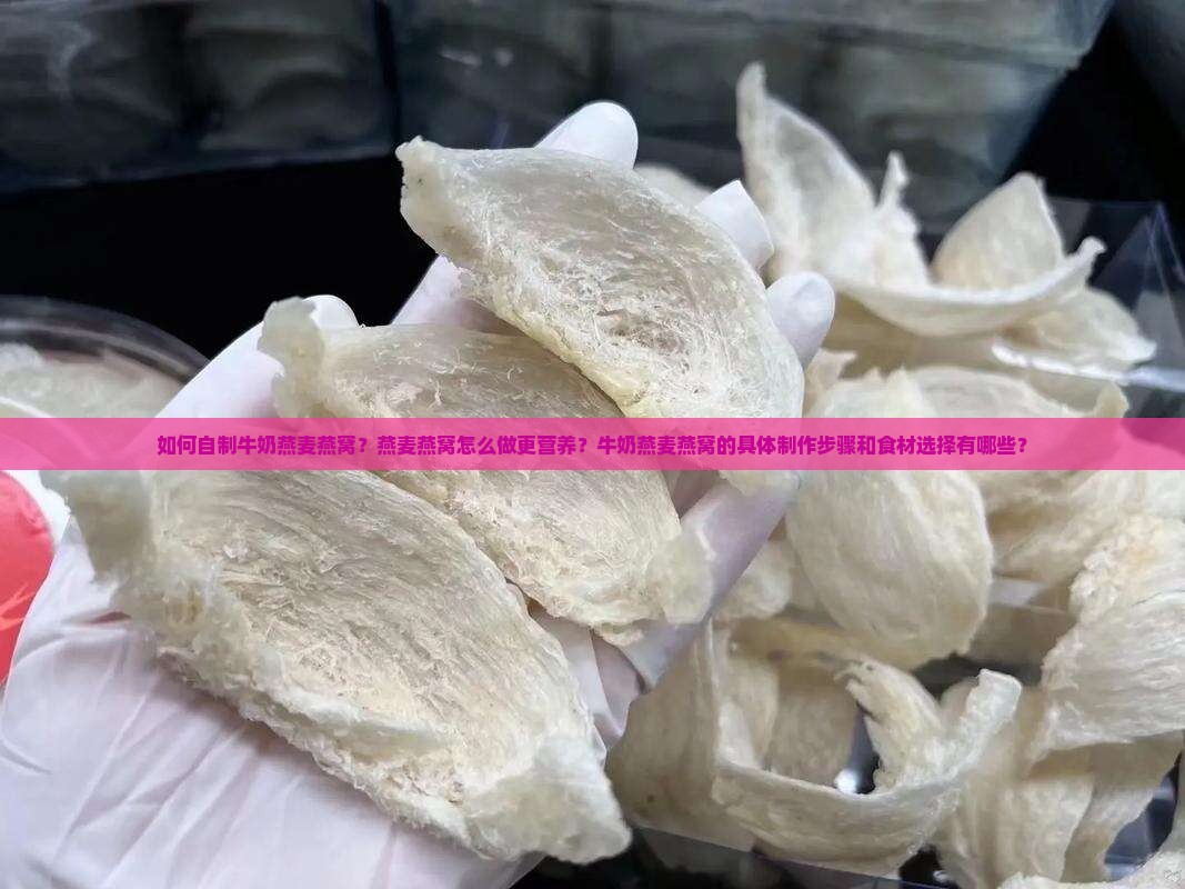 如何自制牛奶燕麦燕窝？燕麦燕窝怎么做更营养？牛奶燕麦燕窝的具体制作步骤和食材选择有哪些？