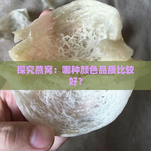 探究燕窝：哪种颜色品质比较好？