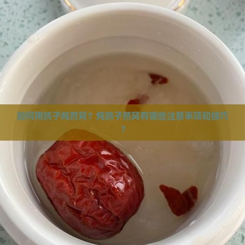 如何用鸽子炖燕窝？炖鸽子燕窝有哪些注意事项和技巧？