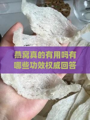 燕窝真的有用吗有哪些功效权威回答