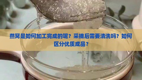 燕窝是如何加工完成的呢？采摘后需要清洗吗？如何区分优质成品？