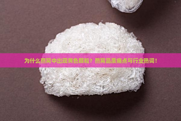 为什么燕窝中出现黄色颗粒？燕窝品质痛点与行业热词！