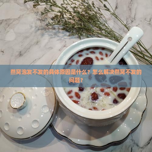 燕窝泡发不发的具体原因是什么？怎么解决燕窝不发的问题？