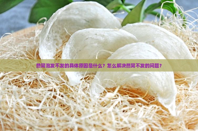 燕窝泡发不发的具体原因是什么？怎么解决燕窝不发的问题？