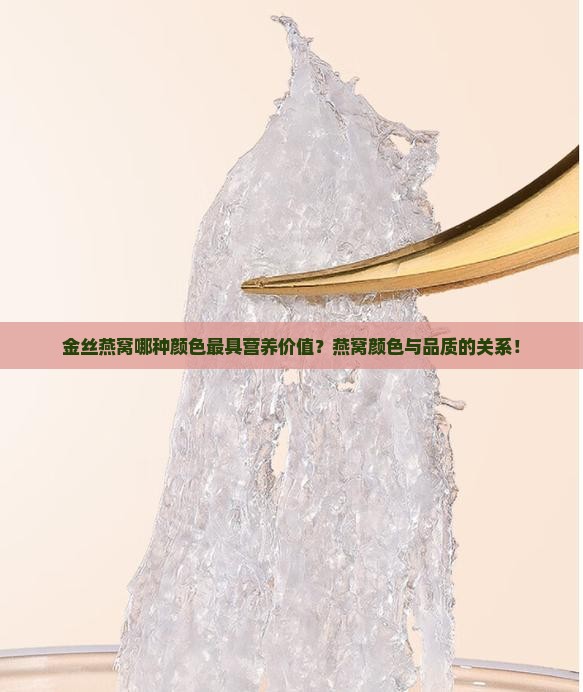 金丝燕窝哪种颜色最具营养价值？燕窝颜色与品质的关系！