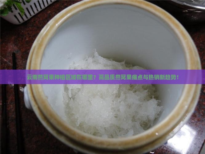 云南燕窝果种植区域在哪里？高品质燕窝果痛点与热销新趋势！