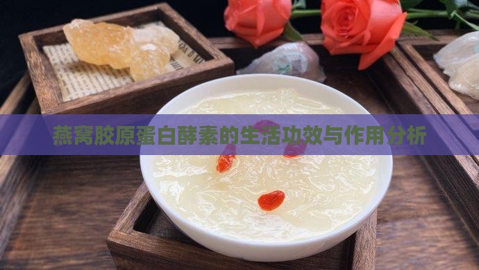 燕窝胶原蛋白酵素的生活功效与作用分析