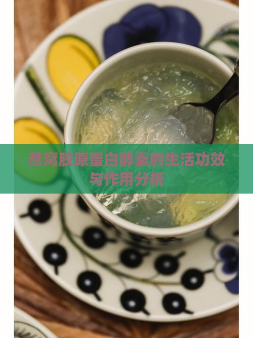 燕窝胶原蛋白酵素的生活功效与作用分析