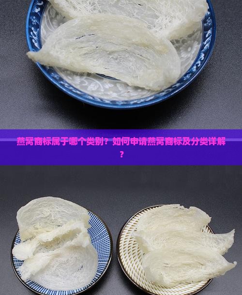 燕窝商标属于哪个类别？如何申请燕窝商标及分类详解？