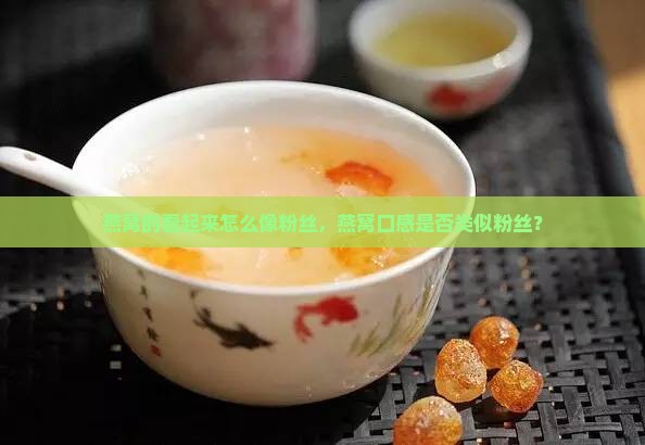 燕窝的看起来怎么像粉丝，燕窝口感是否类似粉丝？