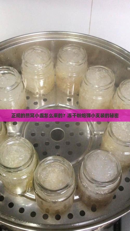 正规的燕窝小盏怎么来的？冻干粉炮弹小支装的秘密