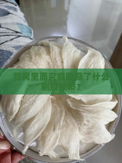 燕窝里面究竟隐藏了什么刷胶胶带？