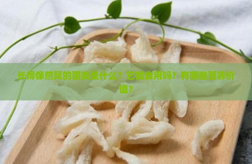 长得像燕窝的菌类是什么？它能食用吗？有哪些营养价值？